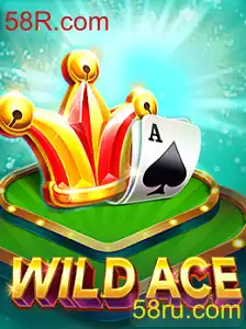Explorando o Mundo do Jogo 'WildAce'